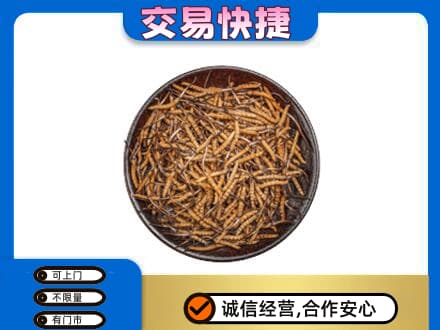 佛坪县回收散虫草